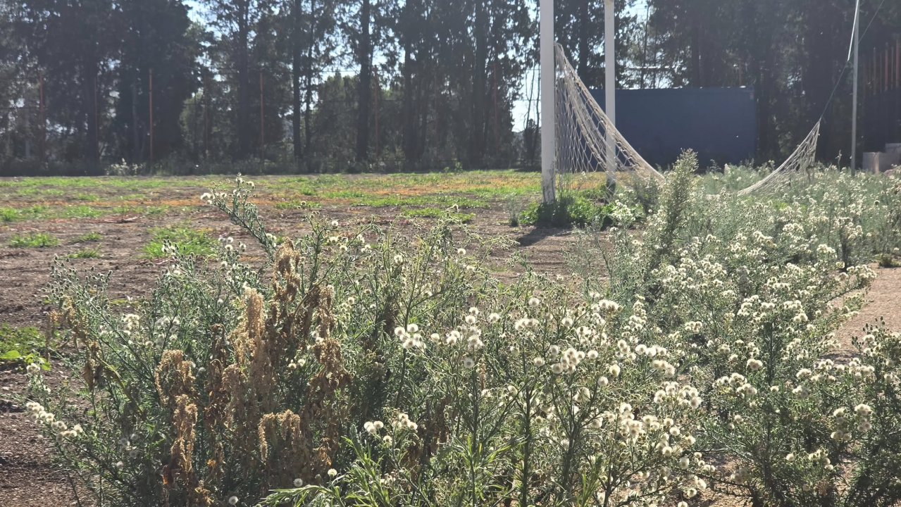 FOTO Igralište Metalca opet obraslo u korov, dok mladi nogometaši čekaju svoj dom