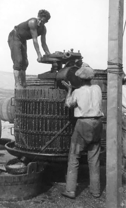 Priča o ćukteru:  Jeste li znali da su šibenski težaci od ciđe radili slatku deliciju?