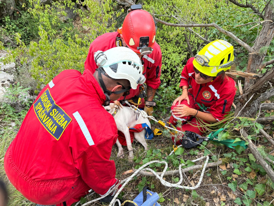 Šibenski HGSS-ovci u Unešiću spasili psa iz duboke jame