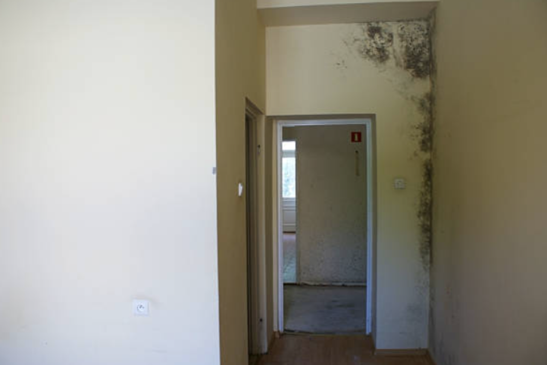 FOTO Sezona je završila: Izbjegnite vlagu u zatvorenim prostorima kad gosti odu