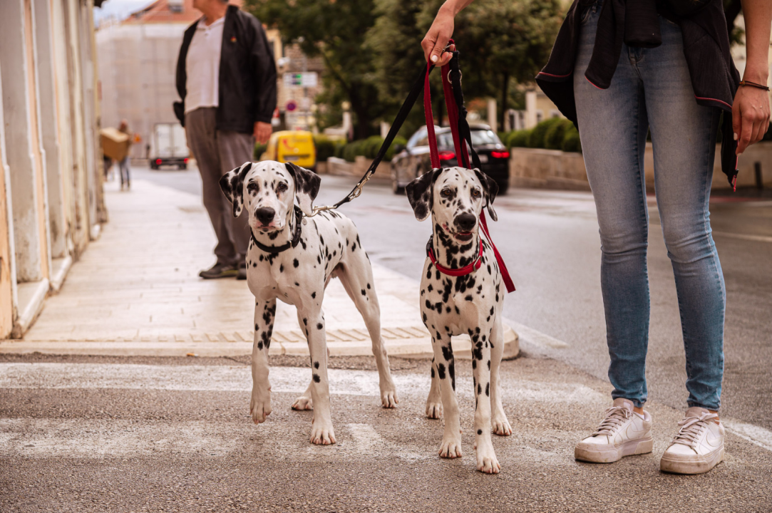 FOTO Istražili smo što donosi jesen u staroj jezgri grada!