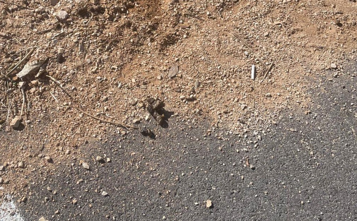 Stanari Jamnjaka ogorčeni: 'Naša ulica pretvorena je u pseći toalet'