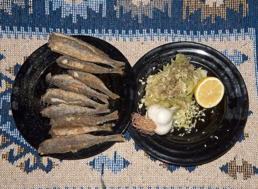 Kapi masline i gušti života: Gurmanske priče s Murtera i Kurnata