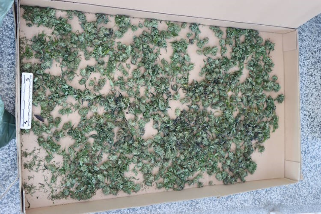 Mirovina nije dovoljna: Pretragom stana 70-godišnjaka pronađeno 4 kilograma marihuane