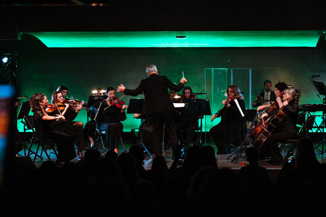 Dubrovački simfonijski orkestar u Šibeniku