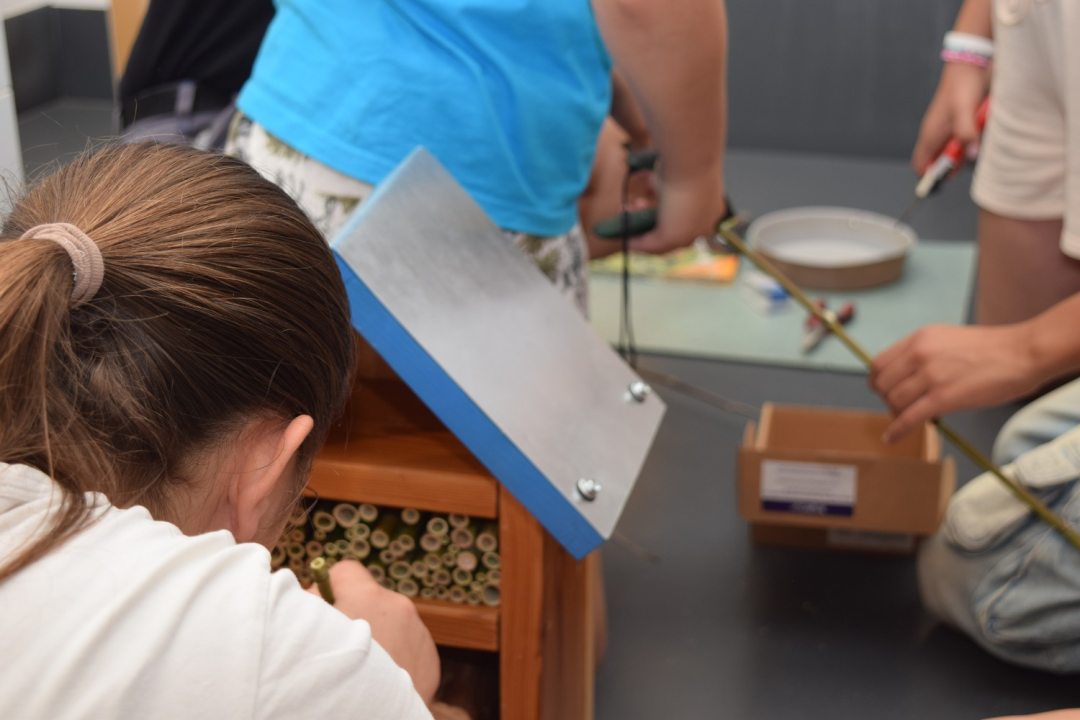 NP Krka prednjači u provođenju edukativnih programa za djecu i mlade