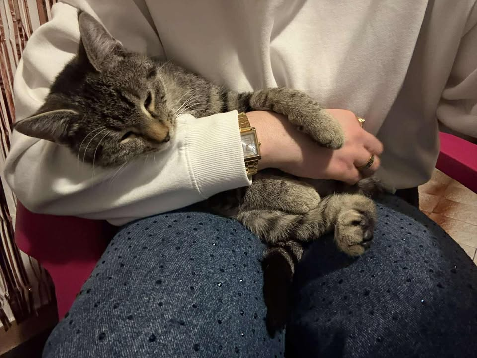 Dvije Nine u Šibeniku su spasile Sushija s ulice, a sada mu traže dom zauvijek