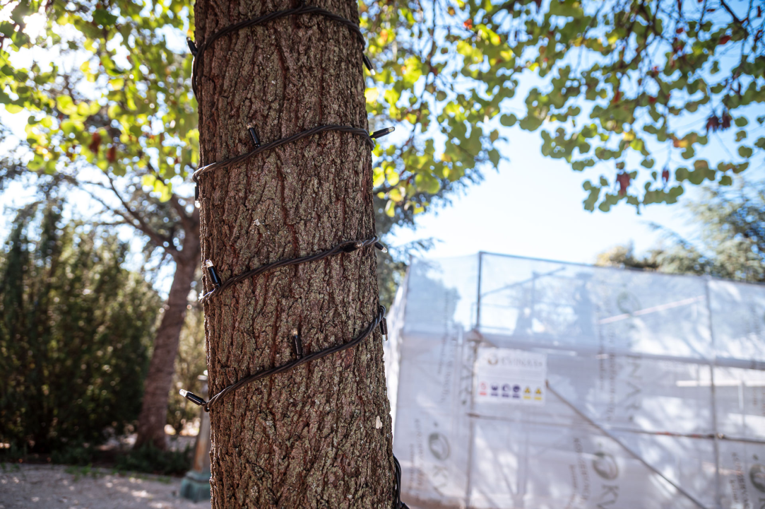 Počelo blagdansko ukrašavanje: Evo koliko je eura Grad Šibenik uložio u ovogodišnje dekoracije