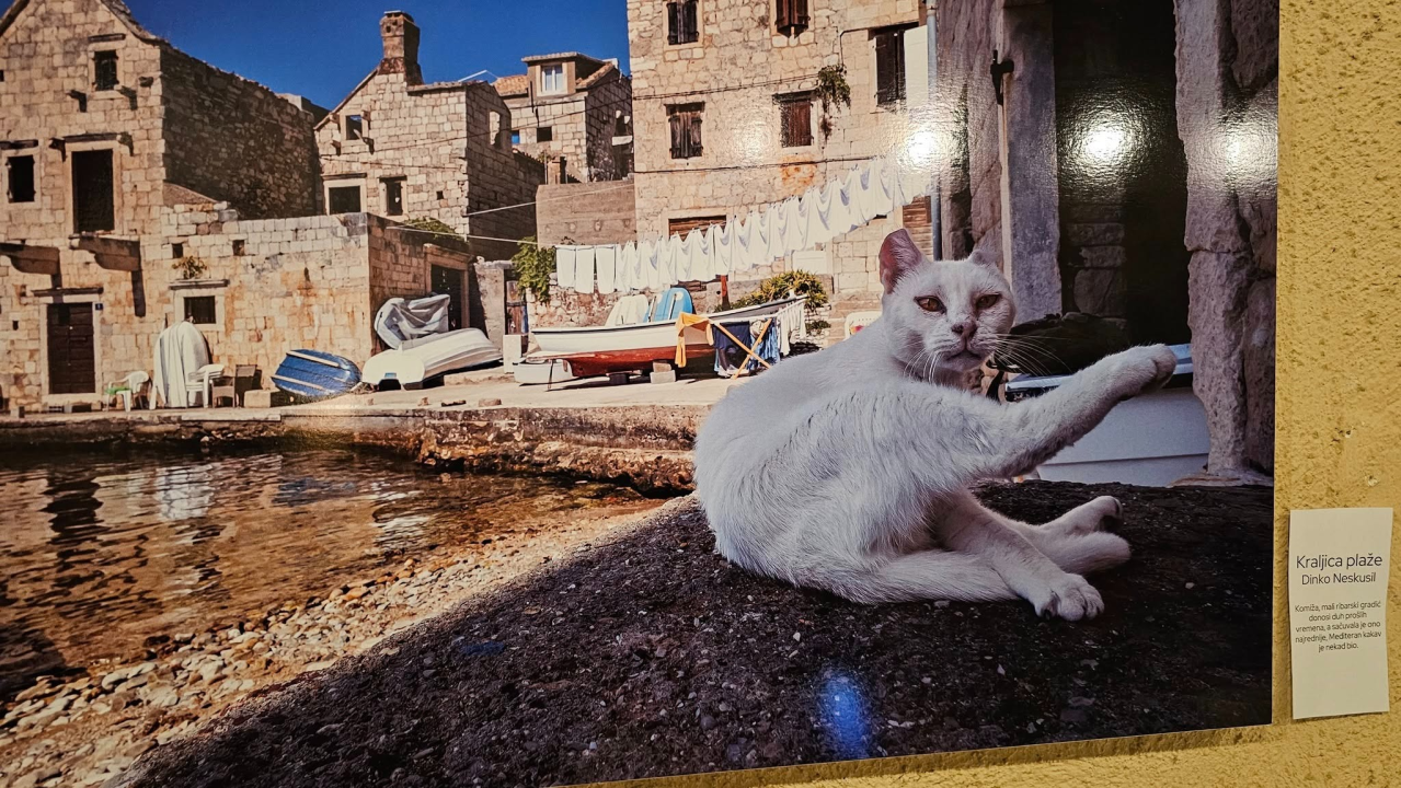 U Azimutu otvorena izložba 'Podmorje'