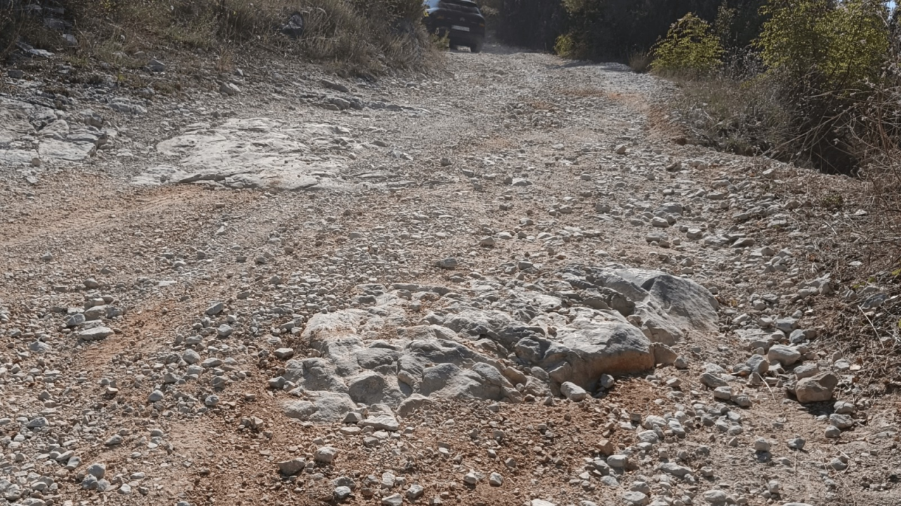 FOTO OPG Bili Brig — Maslinik u srcu Krke gdje tradicija, obitelj i priroda rađaju ulje posebnog karaktera