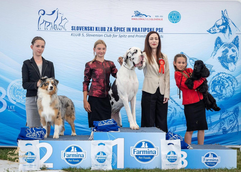 Anđela je najbolji mladi vodič pasa