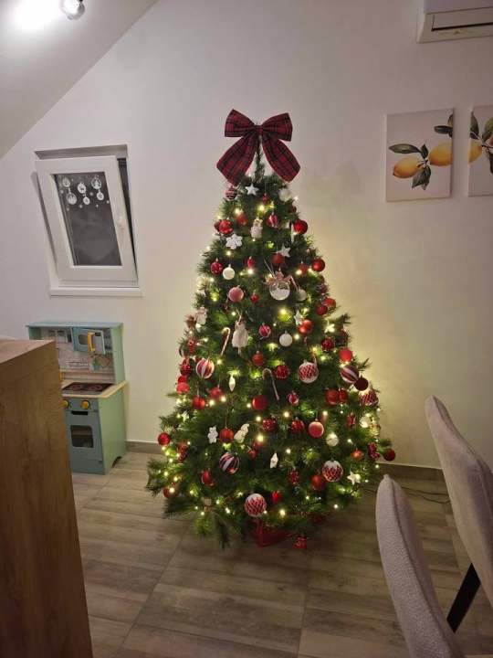 Odluka je pala: Donosimo vam pobjednike izbora najljepše božićne jelke ŠibenikIN-a