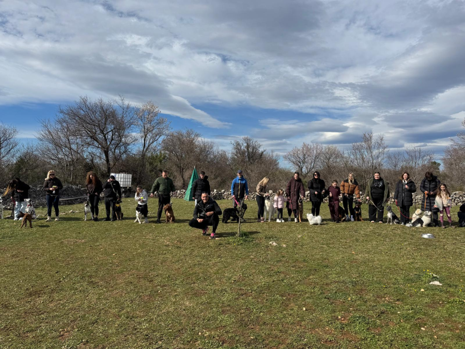 Održano 3. izdanje natjecanja 'Ghetto Dog' u Pokrovniku