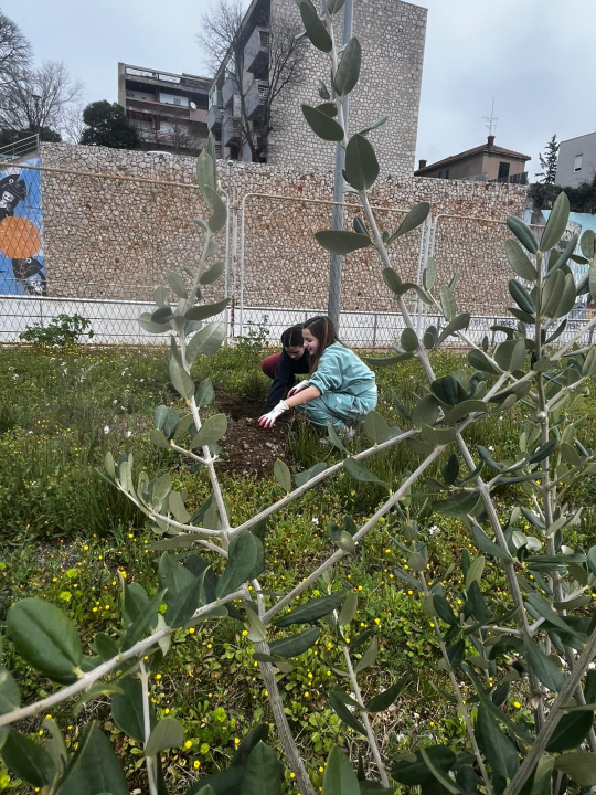  ‘Jedno stablo – jedan dom’