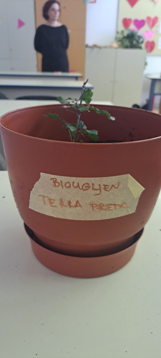 Udruga Argonauta pokrenula projekt 'Cutting Carbon' za promociju biougljena