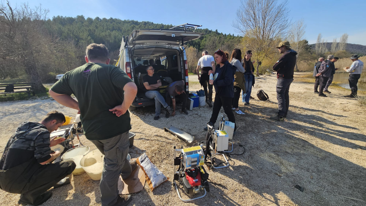 Stručnjaci na Krki krenuli u borbu za očuvanje ugroženih slatkovodnih riba