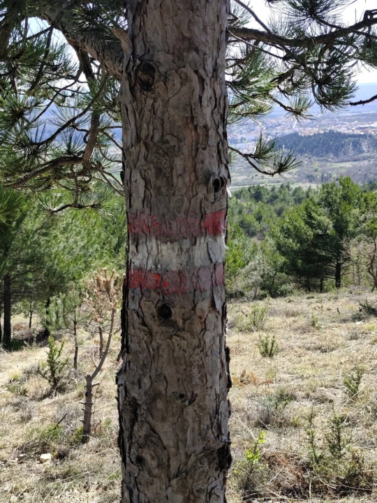 Vandali opet uništili markacije na Promini: 'Frustracijama nije mjesto na planinarskim stazama'