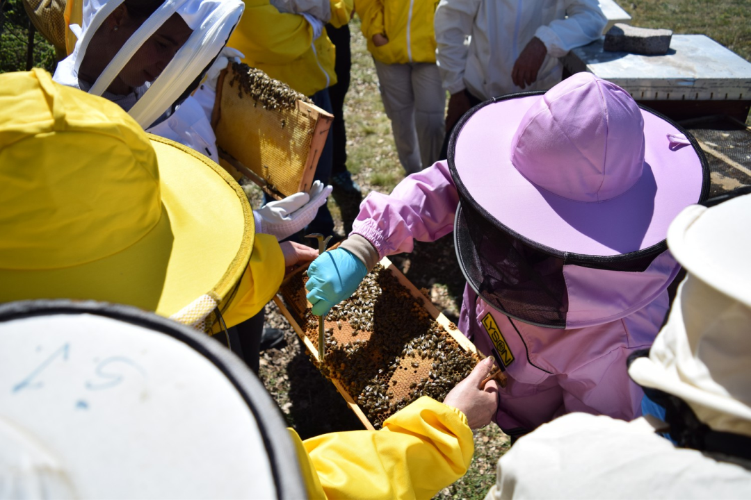 Pčelari s područja rijeke Krke usavršavali svoja znanja