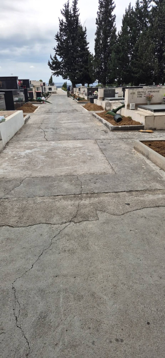 Čempresi završili velik posao: Zasađeno 150 stabala, uklonjeno staro bilje i zamijenjena zemlja