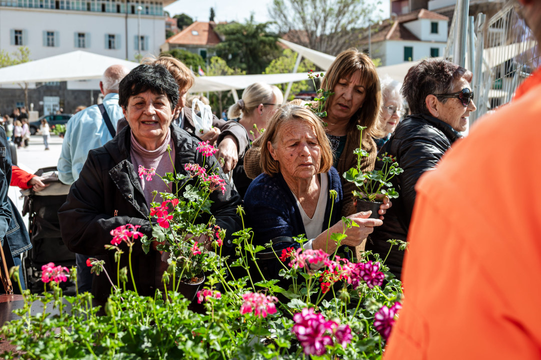 FOTO Građanima na Poljani podijeljeno 2000 sadnica cvijeća, predškolci uživali u edukativnim predstavama