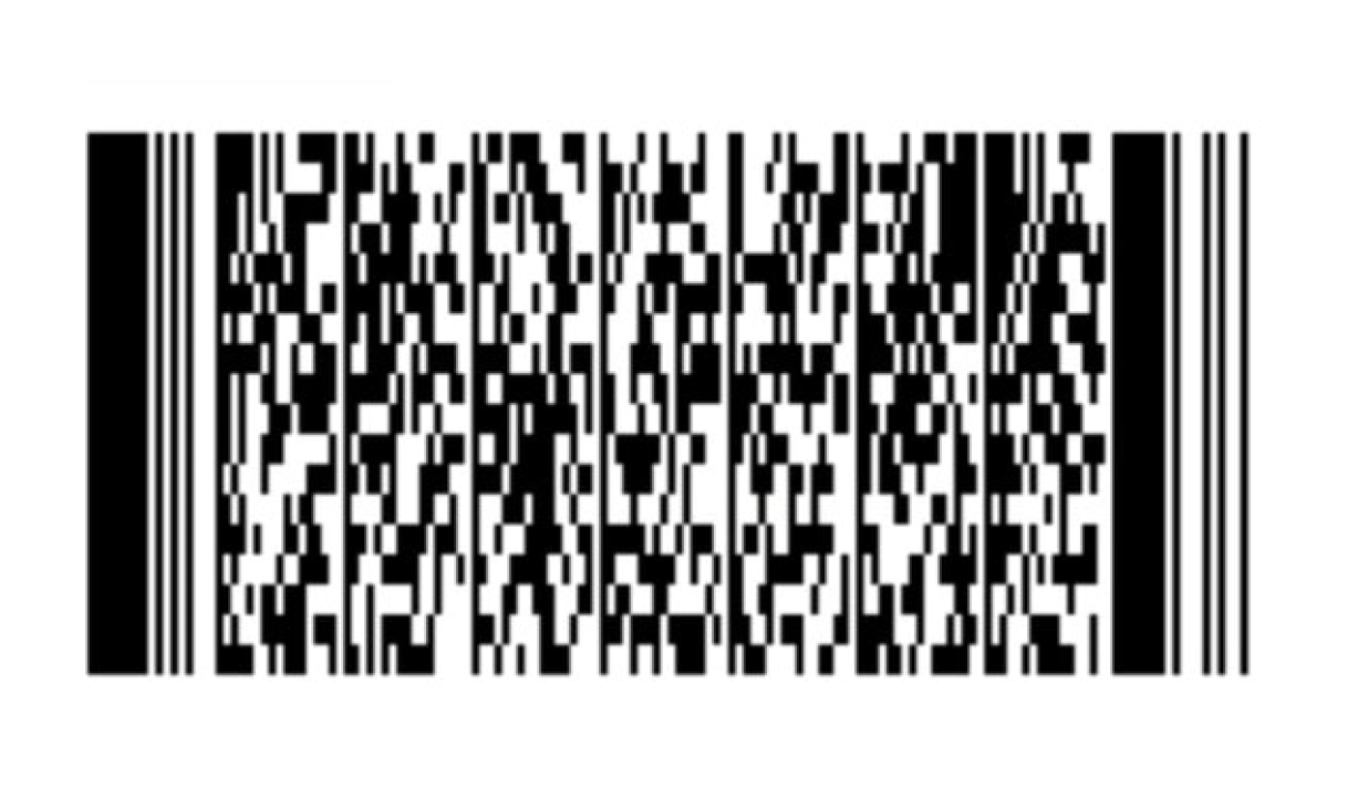 Spašeni psić s Promine traži svoj zauvijek dom, a Šibenske šape pomoć za pokrivanje veterinarskih toškova