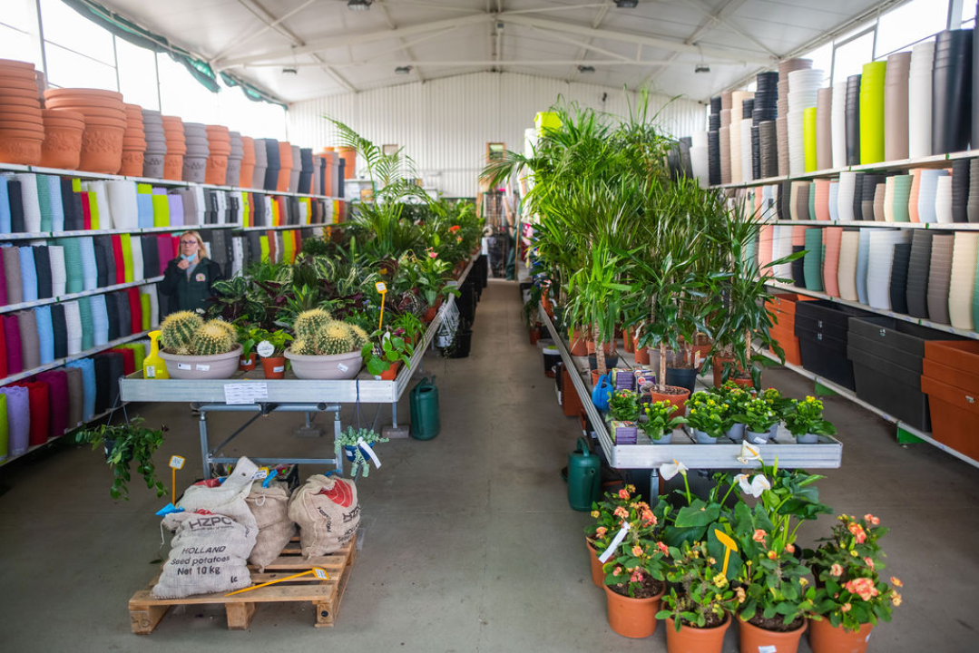 Izaberite nešto baš za sebe iz šarenila cvatnica u Vrtnom centru Dubrava!  