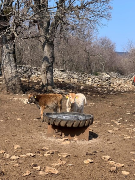 Župan obišao poljoprivrednike na području Kistanja i Đevrsaka: 'Udvostručili smo poticaje u poljoprivredi'