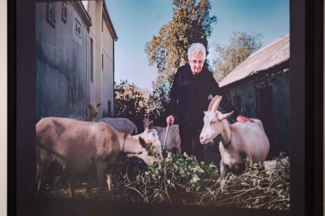 ‘Biličke priče’ Mirande Trklje svjedoče o životima vremešnih sumještana: ‘Život staje tek kad sklopiš oči, ne prije’