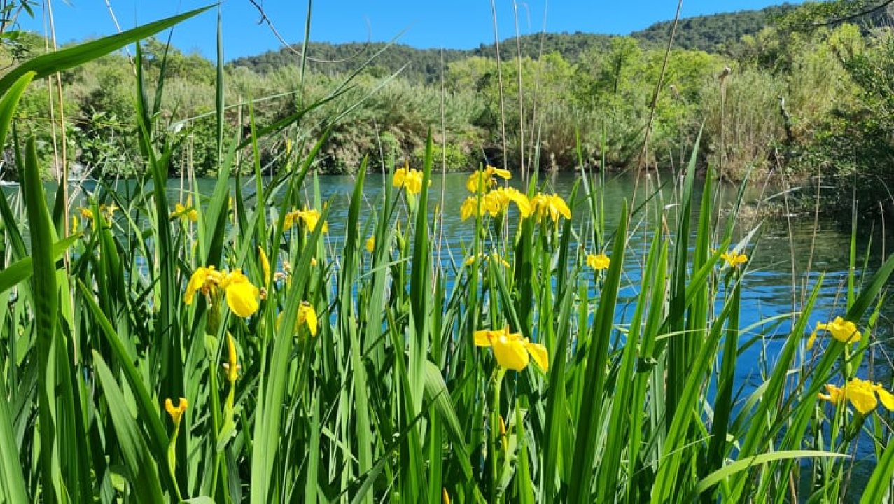 Proveli smo Majčin dan na Skradinskom buku uz ljepote Majke prirode
