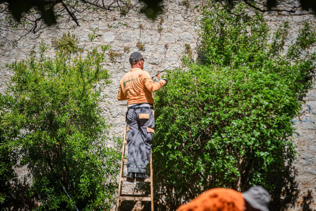 U šibenskom 'dnevnom boravku' sadi se cvijeće i uređuje okoliš: Perivoj Roberta Visianija dočekat će ljeto u punom sjaju 