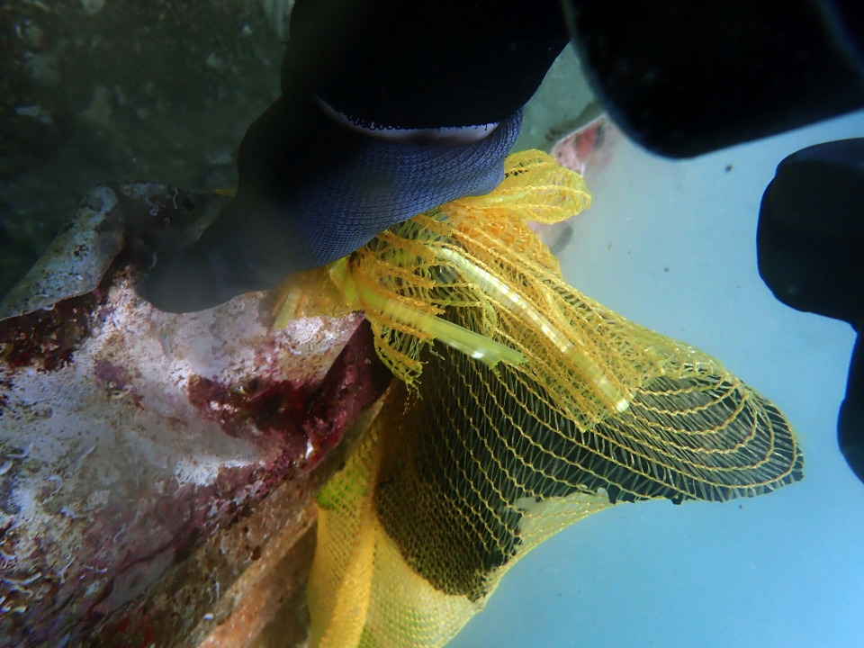 Ronioci objavili što su sve zatekli pod morem na Marinskoj: Gume, gume, gume... i jedan krov!