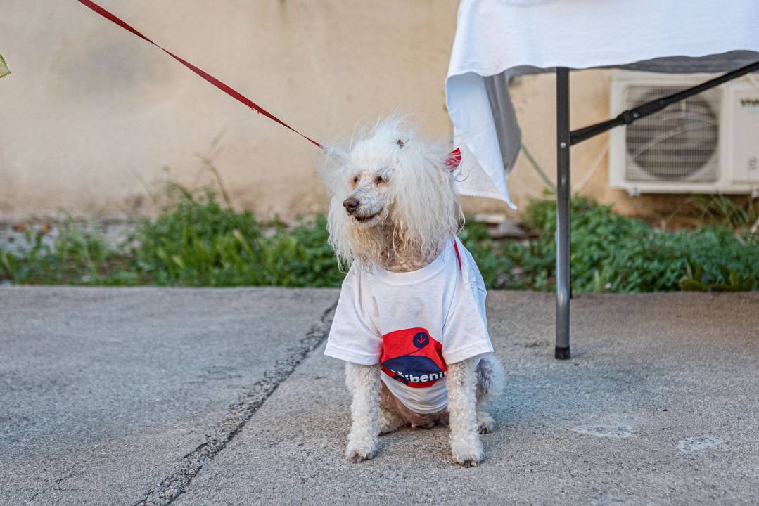 Tonči Restović: 'Čestitao sam Buriću na pobjedi i obećao da ćemo biti konstruktivna oporba' 