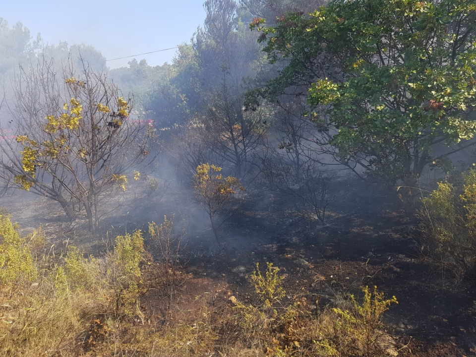 Spaljivanje travi u Brodarici otelo se kontroli: Vatra ipak nije stigla do kuća i borove šume