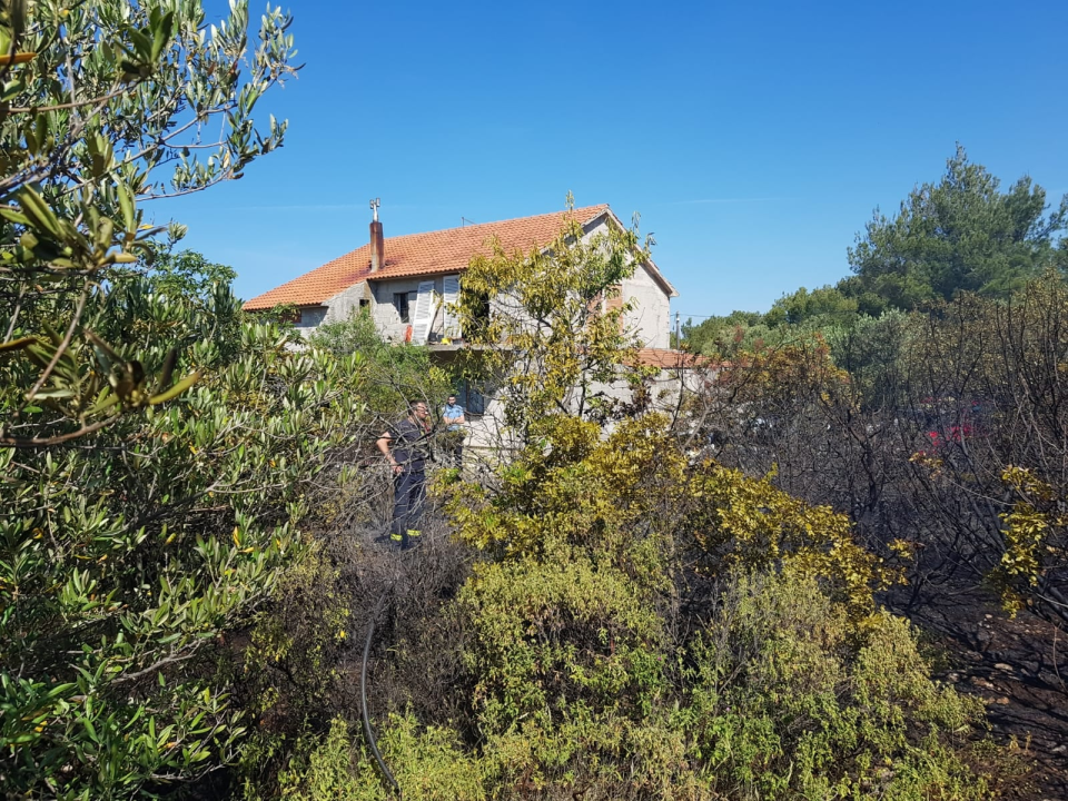 Spaljivanje travi u Brodarici otelo se kontroli: Vatra ipak nije stigla do kuća i borove šume