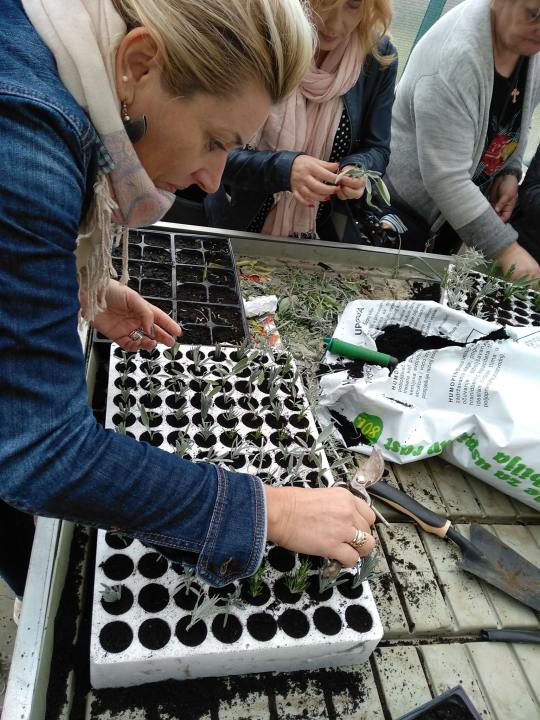 Osladite se ukusnim ribljim delicijama u Fish Delishu u Vodicama!