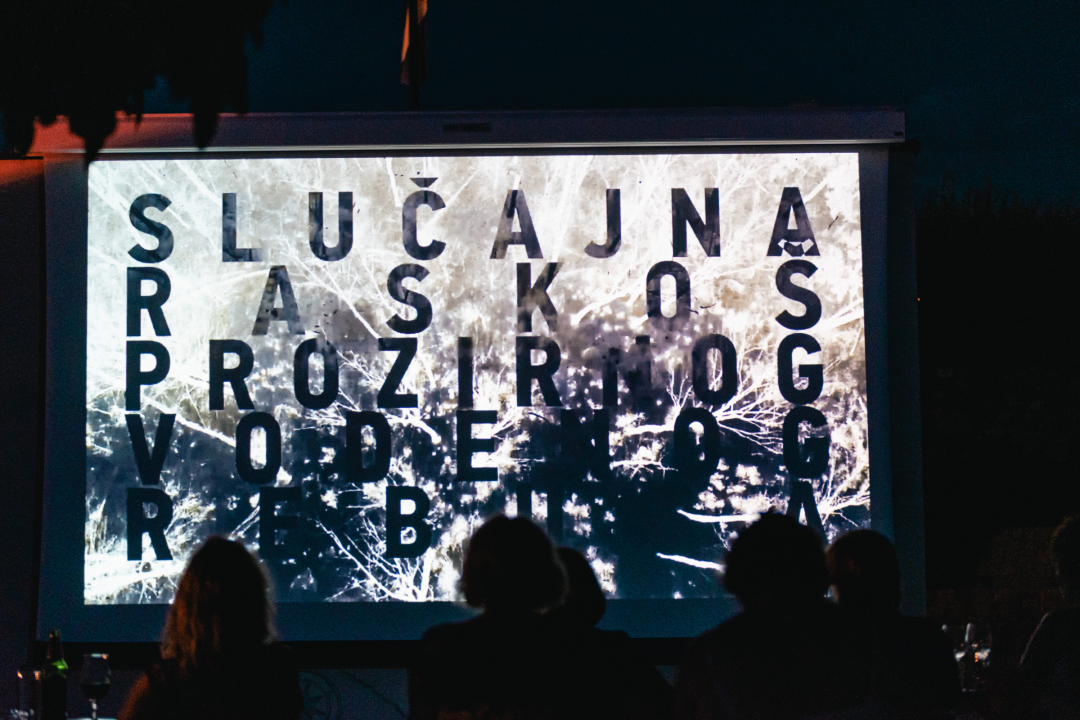 Na Baroneu Šibenčanima premijerno prikazan film ‘Slučajna raskoš prozirnog vodenog rebusa’