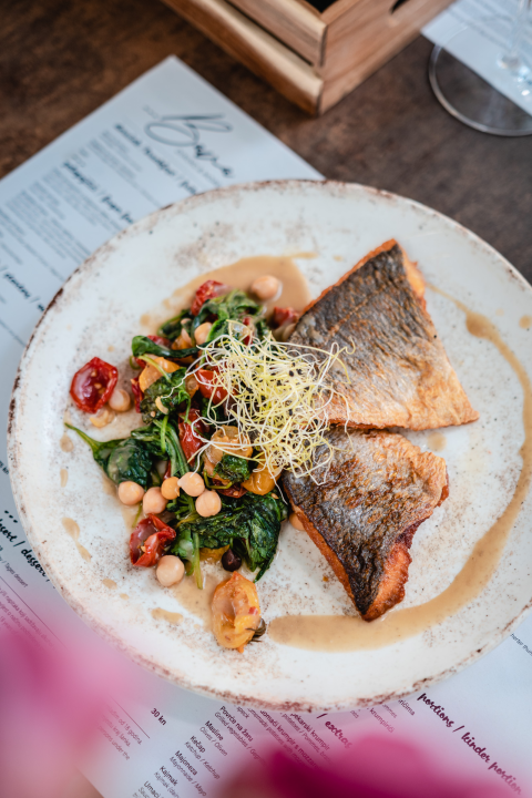 Posjetite Bistro Bava u hladu najstarijeg šibenskog stabla i uživajte u genijalnoj hrani i dvadeset vrsta piva