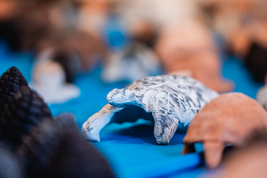 ‘Žabe’ okupirale sv. Krševan: Na zidu su psihodelične, na podu ih je stotine od terakote