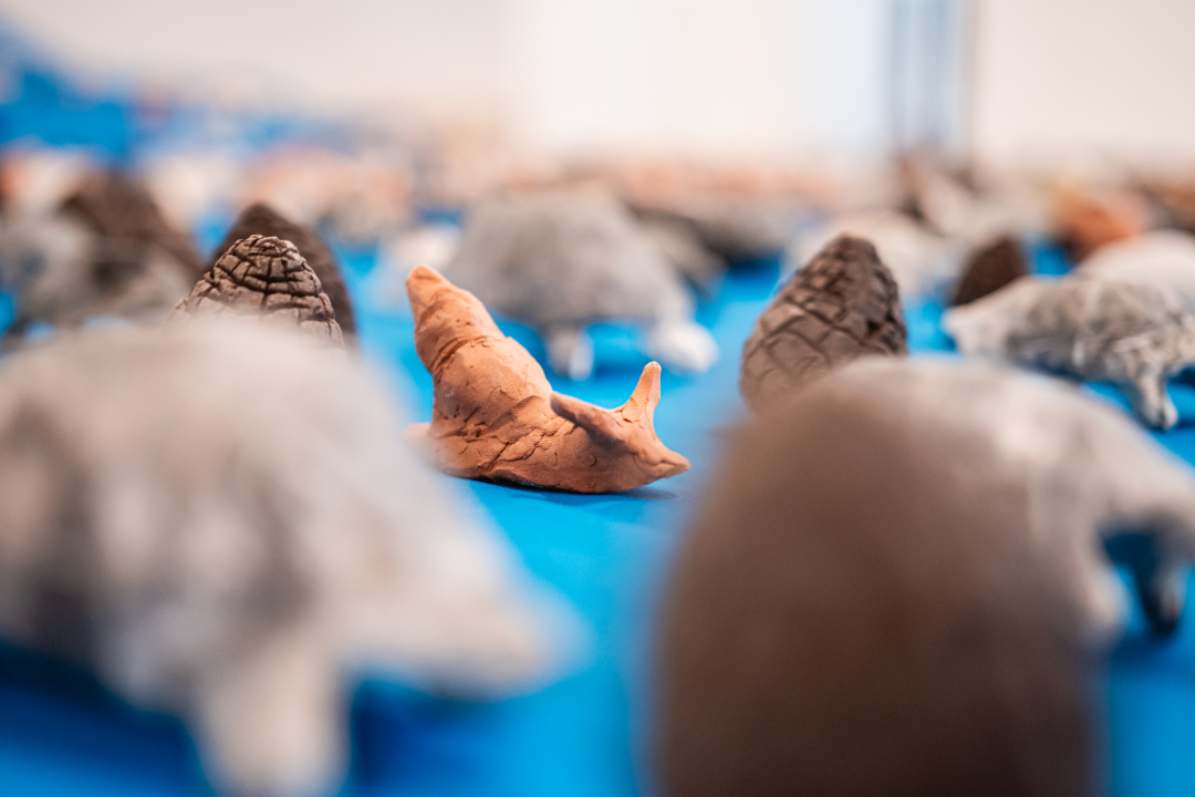 ‘Žabe’ okupirale sv. Krševan: Na zidu su psihodelične, na podu ih je stotine od terakote