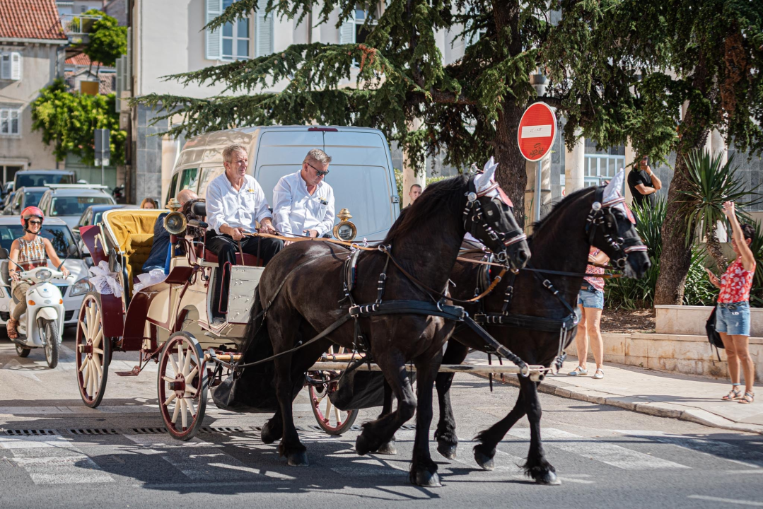 Vjenčanje na belgijski način: Dvije frizijske kobile kaskale centrom grada i rivom  