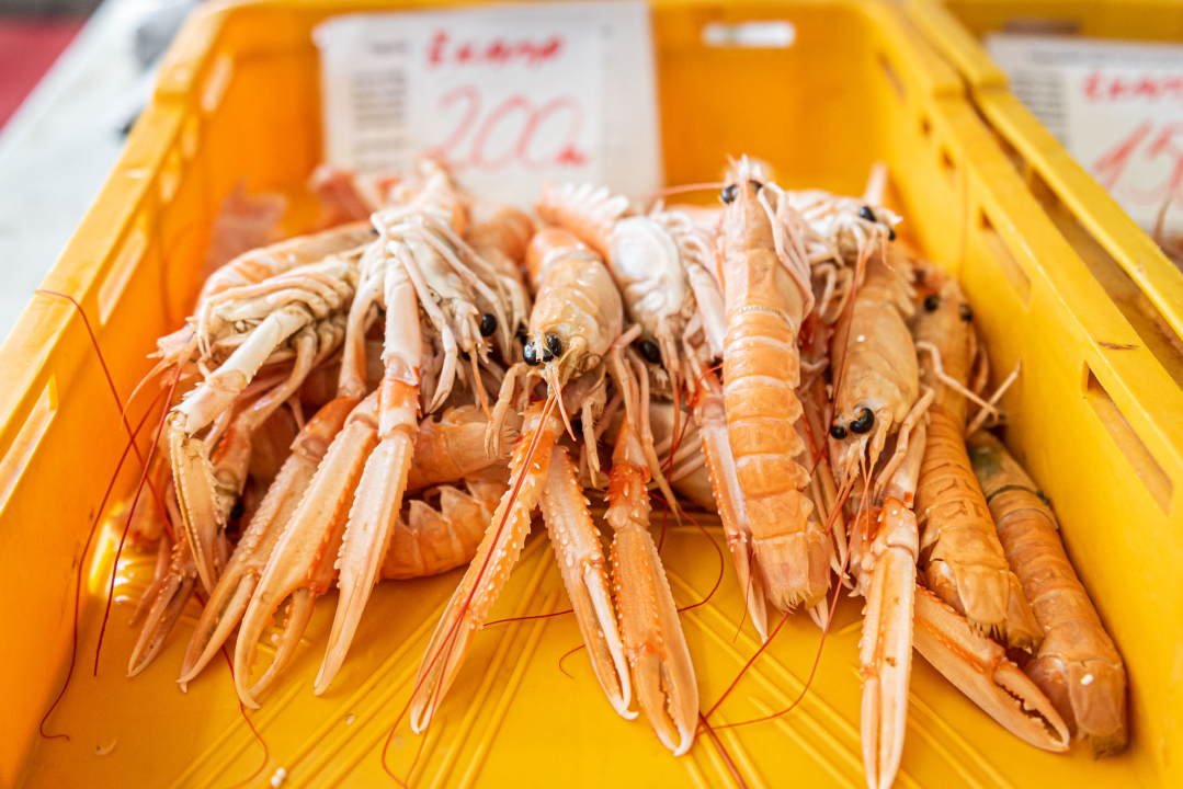 Na pijaci smo pronašli prve žižule, a na peškariji solidnu ponudu ribe: 'Što turisti znaju što je divlji, a što uzgojen brancin' 