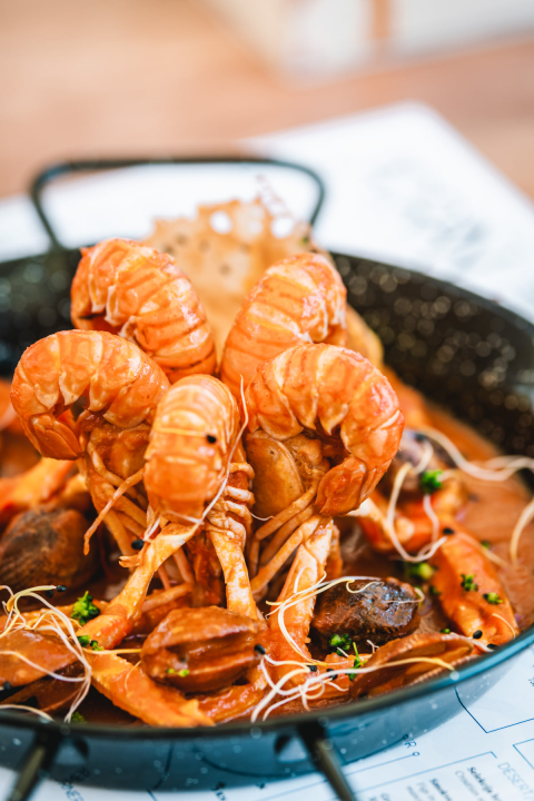 Najbolja spiza čeka vas u centru grada!