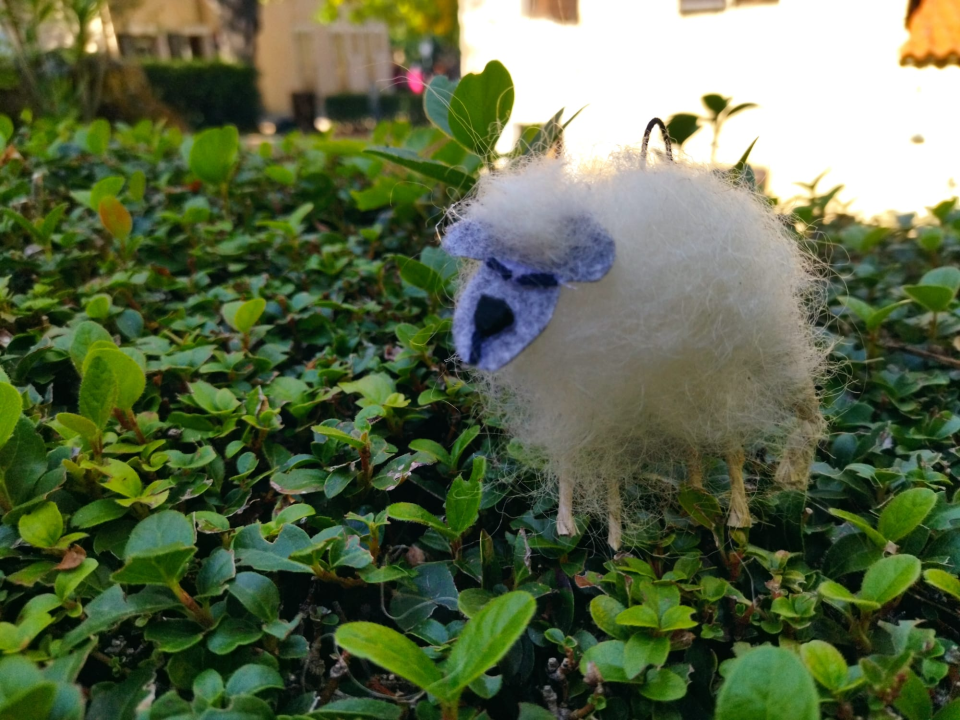 Na Krki radionice izrade igračaka za Šibenske šape i pletenja pokrivača za beskućnike