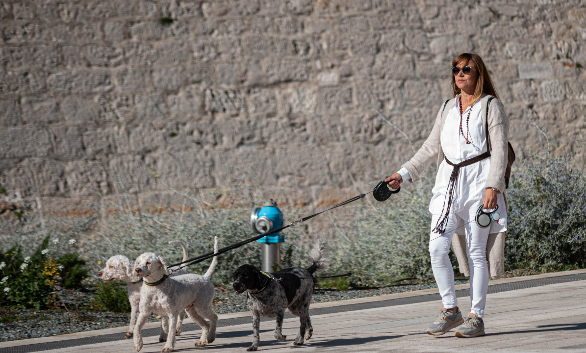 FOTO Đir po gradu, nedjelja 24. listopada