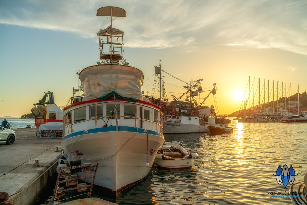 Ribarska zadruga Adria: 'Zna tribunjska tradicija da je riba delicija'