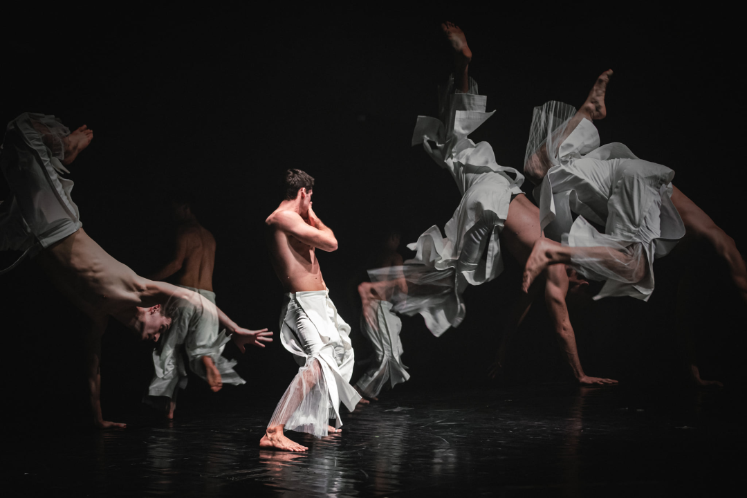 'Boys Boys Boys' sinoć u Arsenu: Šibenčanke uživale u ekspresivnom muškom plesu 