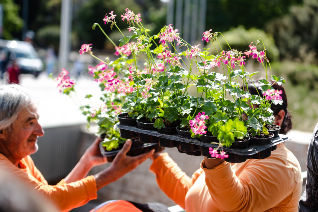 Preko 2000 cvjetnih sadnica podijeljeno na Poljani dok si rekao 'điran' 