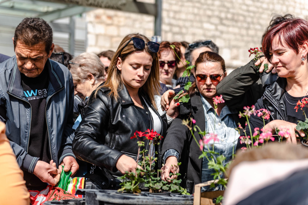 Preko 2000 cvjetnih sadnica podijeljeno na Poljani dok si rekao 'điran' 