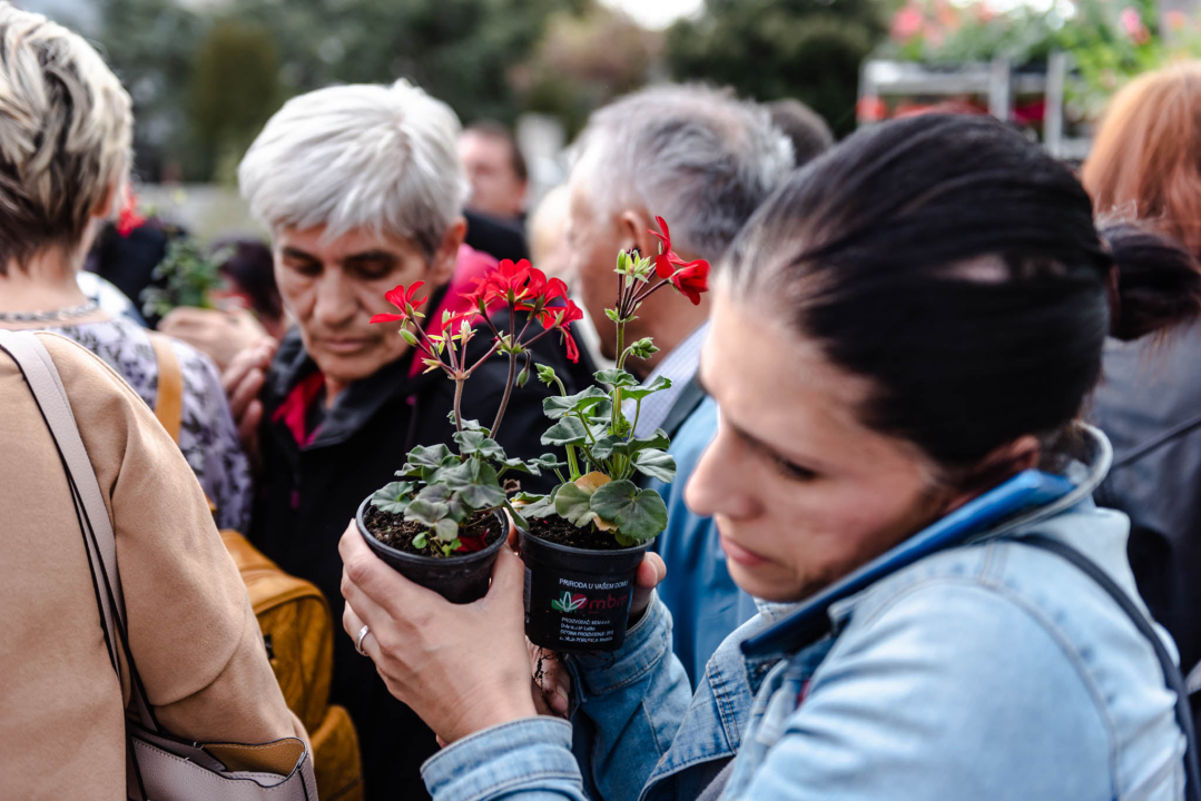 Preko 2000 cvjetnih sadnica podijeljeno na Poljani dok si rekao 'điran' 