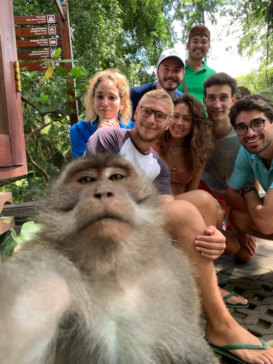 Šibenčanka Lucia Kulušić o iskustvu studija na jednom od najboljih sveučilišta na svijetu 